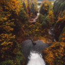 createtheadventure avatar