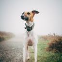 createthelifeyouwant avatar