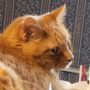 creatingcuriosity avatar