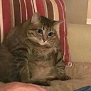 creative--loft avatar