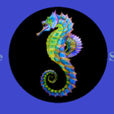 creative-seahorse avatar