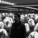 creativegenius avatar