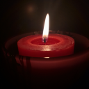 creativenaturebird avatar