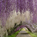 creativenerd93311 avatar