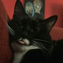 creativepipboy avatar