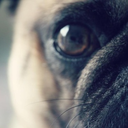 creativerubbish avatar