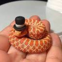 creativesnek avatar