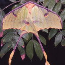 creativethirst avatar