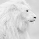 creativity-is-a-state-of-mind avatar