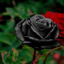 creativitylover47 avatar