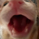 creaturecraving avatar