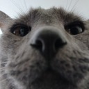 creaturedeath avatar