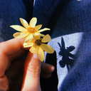 creatureofthesun avatar