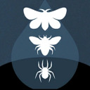 creaturesanonymous avatar