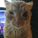 creepiebeebie avatar