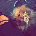 creepin-it-reaaal avatar