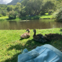 creepin-it-reeal avatar