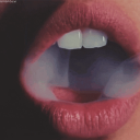 creeping-thistle avatar