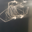 creepy-girls-romance-blog avatar