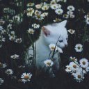 creepy-spooghetti avatar