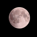 creepyblondie avatar