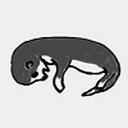 creepycrawwly avatar