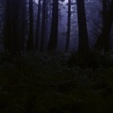 creepypastaideas avatar