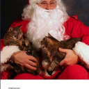 crepecrocodile avatar