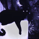 crepusculumsolis avatar