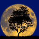 crescentcrowned avatar