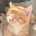 crescentmoon666 avatar