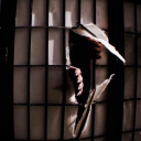 cribthecamper avatar