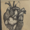 cricketloblaw avatar