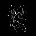 cricketshollow avatar