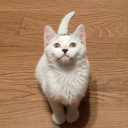 cricketsmomther avatar