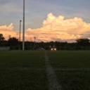 criesintofries avatar