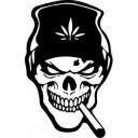 criminal-influencer avatar