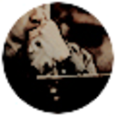 criminebcss-blog avatar