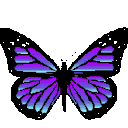 crimson-angel-xo avatar