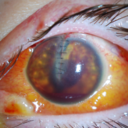 crimson-fury-blog avatar