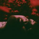 crimson-night-4 avatar