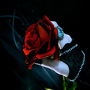 crimson-regret666 avatar