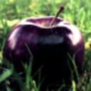 crimson-vipera avatar