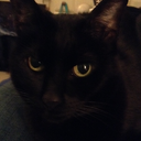 crimsoncloverdream avatar