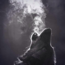 crimsonfire43 avatar