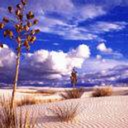 crimsonflower430 avatar