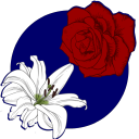 crimsonroseandwhitelily avatar