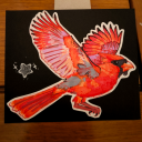 crimsonservalite avatar