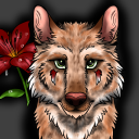 crimsontigerlily avatar