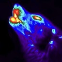 cringe-bug-man avatar